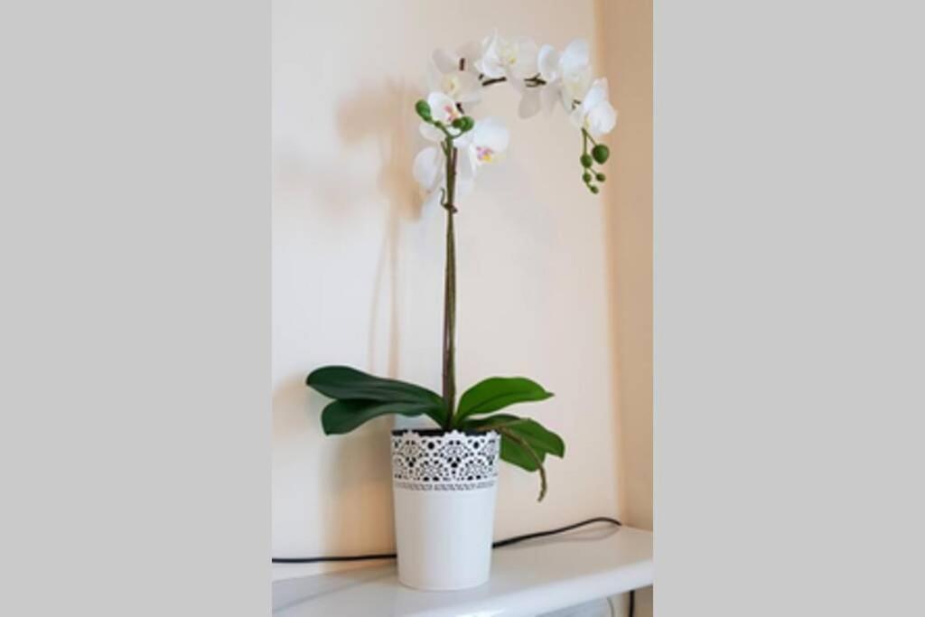Appartamento Cozy Modern Astoria Magic Orange Old Town *